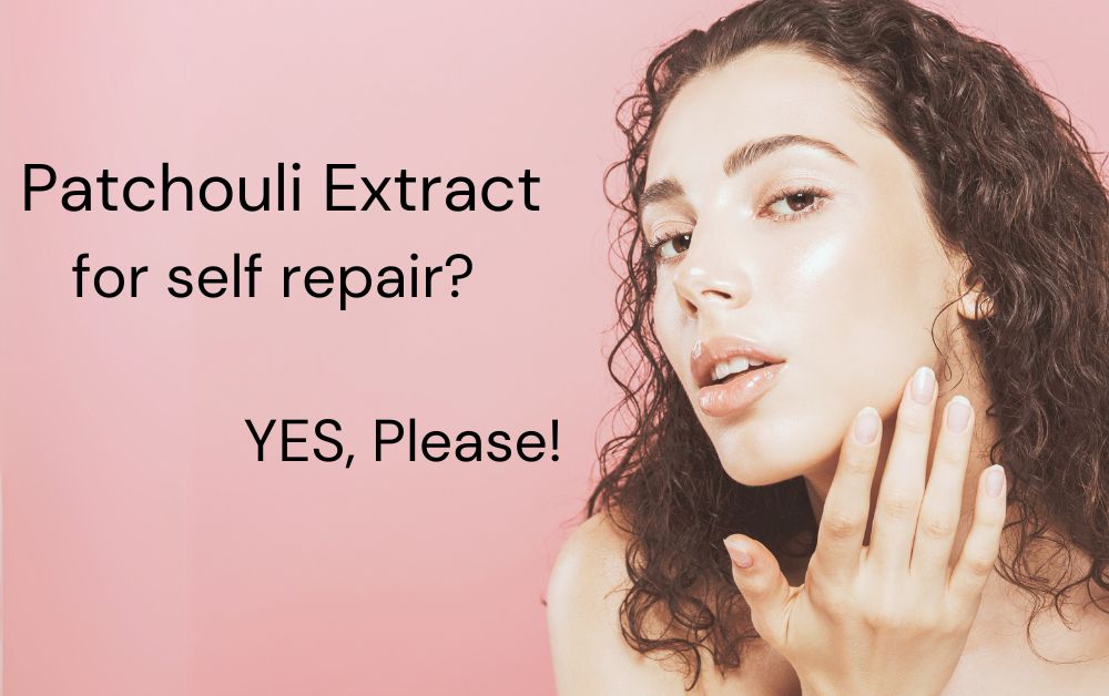 Discover Patchouli Extract: The Unsung Hero of Skincare