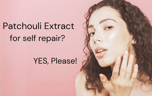Discover Patchouli Extract: The Unsung Hero of Skincare