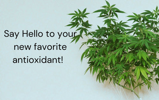 How CBD Acts As An Antioxidant In Skin Care, According To A Dermatologist